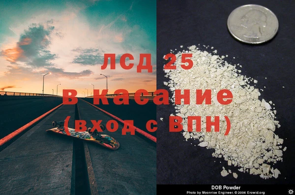 стаф Алзамай