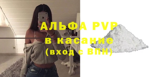 стаф Алзамай