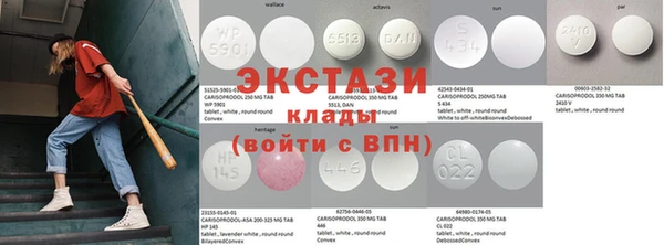 стаф Алзамай