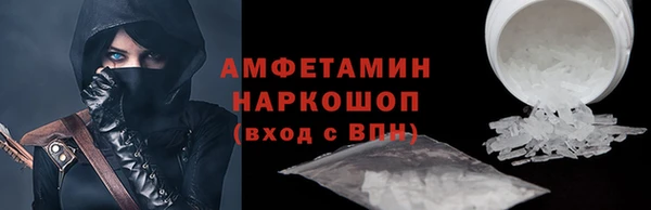 стаф Алзамай