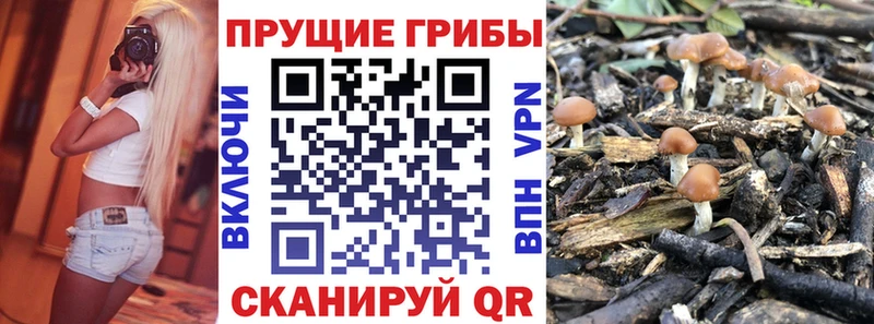 Псилоцибиновые грибы ЛСД  Купить закладки  Болхов 