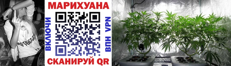 Каннабис AK-47  Купить где  Болхов 